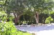 Weddings in the Florida Keys